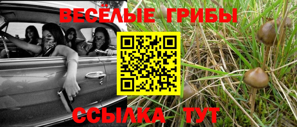 Воскресенск  Псилоцибиновые грибы GOLDEN TEACHER  Псилоцибиновые грибы прущие грибы  Вход с VPN 